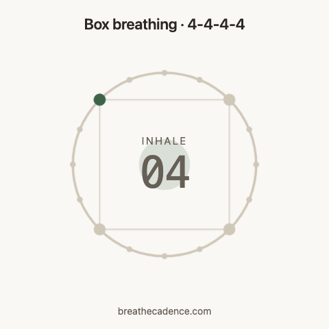 Box breathing: one 16-second cycle, inhale 4 seconds, hold 4, exhale 4, hold 4