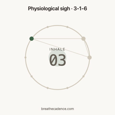 Physiological sigh: one 10-second cycle, inhale 3 seconds, inhale again 1, exhale 6
